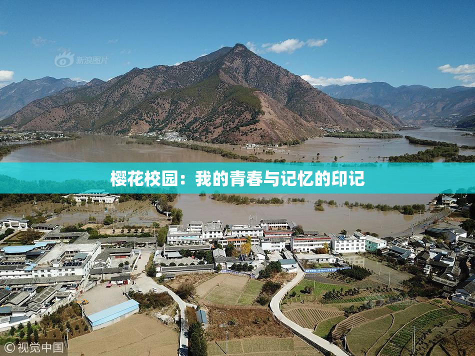 樱花校园：我的青春与记忆的印记