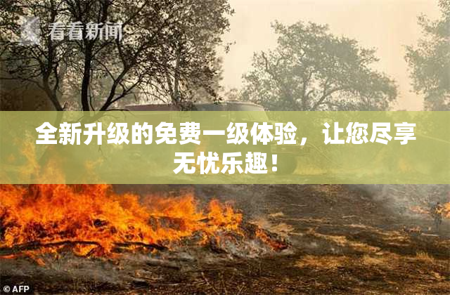 全新升级的免费一级体验，让您尽享无忧乐趣！