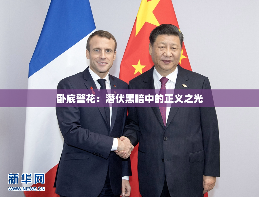 卧底警花：潜伏黑暗中的正义之光