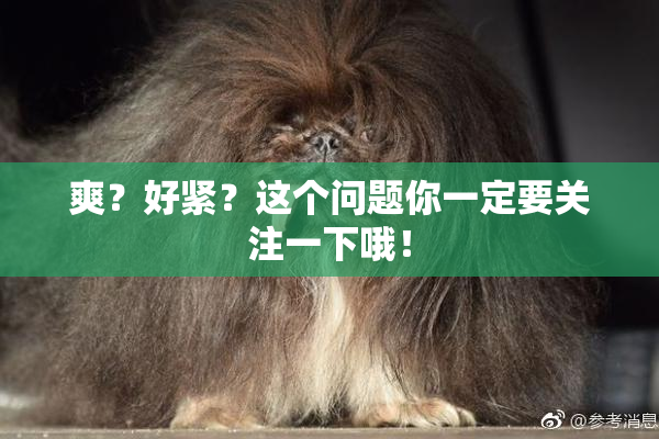 爽？好紧？这个问题你一定要关注一下哦！