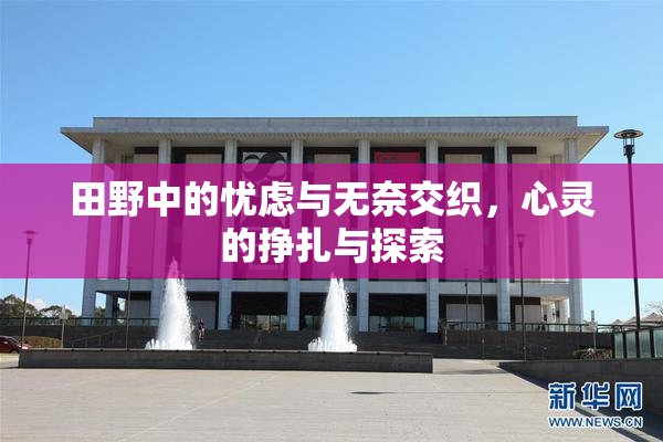 田野中的忧虑与无奈交织，心灵的挣扎与探索