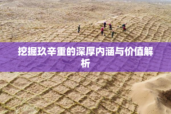 挖掘玖辛重的深厚内涵与价值解析