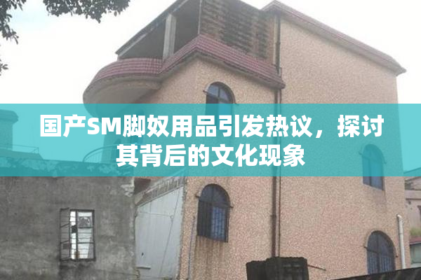 国产SM脚奴用品引发热议，探讨其背后的文化现象