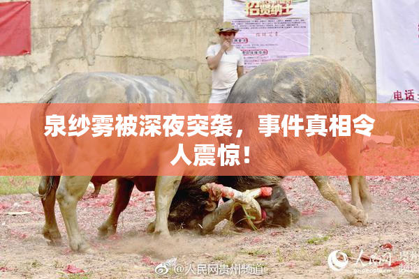 泉纱雾被深夜突袭，事件真相令人震惊！