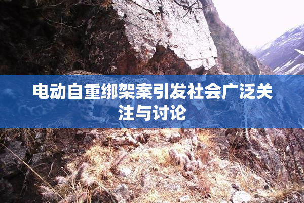 电动自重绑架案引发社会广泛关注与讨论