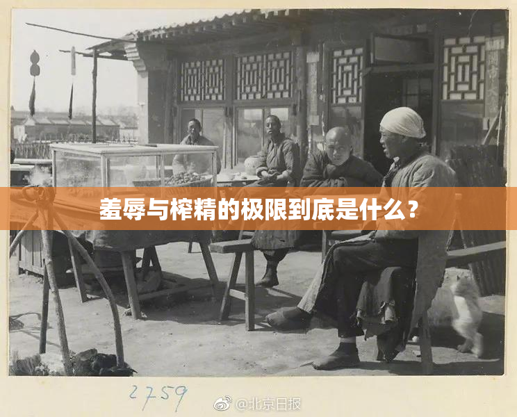 羞辱与榨精的极限到底是什么？