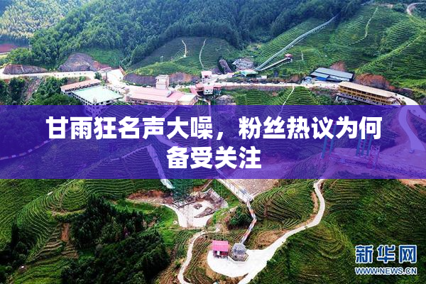 甘雨狂名声大噪，粉丝热议为何备受关注