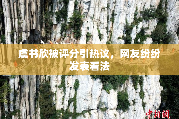 虞书欣被评分引热议，网友纷纷发表看法
