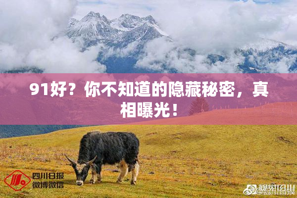91好？你不知道的隐藏秘密，真相曝光！