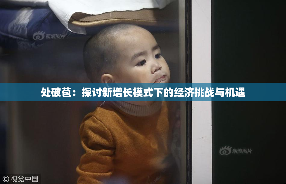 处破苞：探讨新增长模式下的经济挑战与机遇