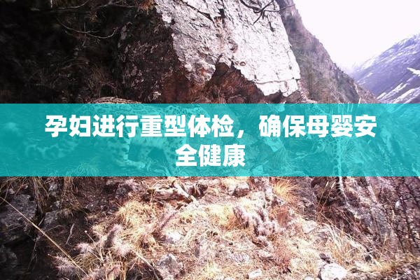 孕妇进行重型体检，确保母婴安全健康