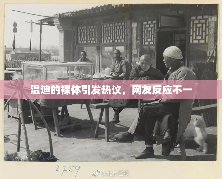 温迪的裸体引发热议，网友反应不一