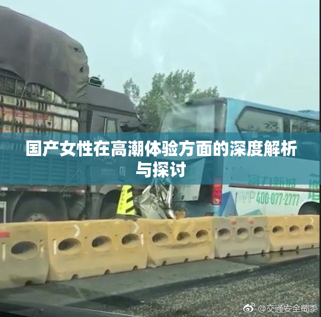国产女性在高潮体验方面的深度解析与探讨