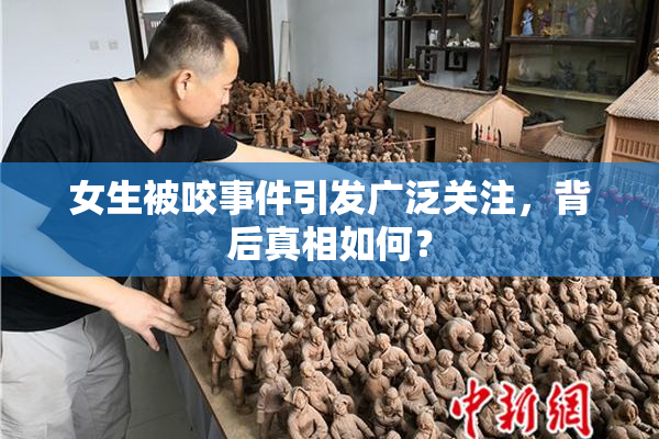 女生被咬事件引发广泛关注，背后真相如何？