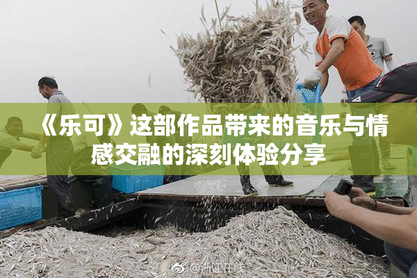 《乐可》这部作品带来的音乐与情感交融的深刻体验分享