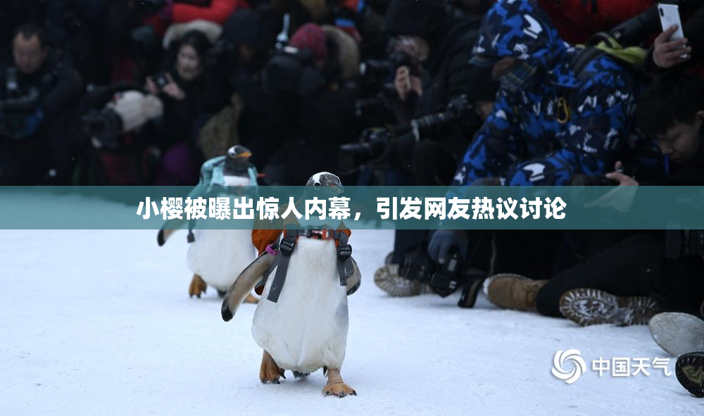 小樱被曝出惊人内幕，引发网友热议讨论