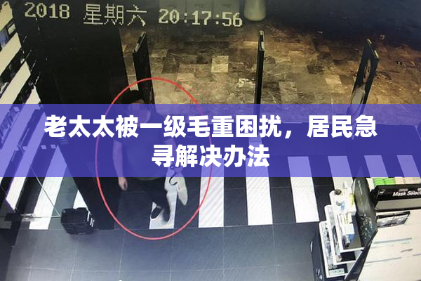 老太太被一级毛重困扰，居民急寻解决办法