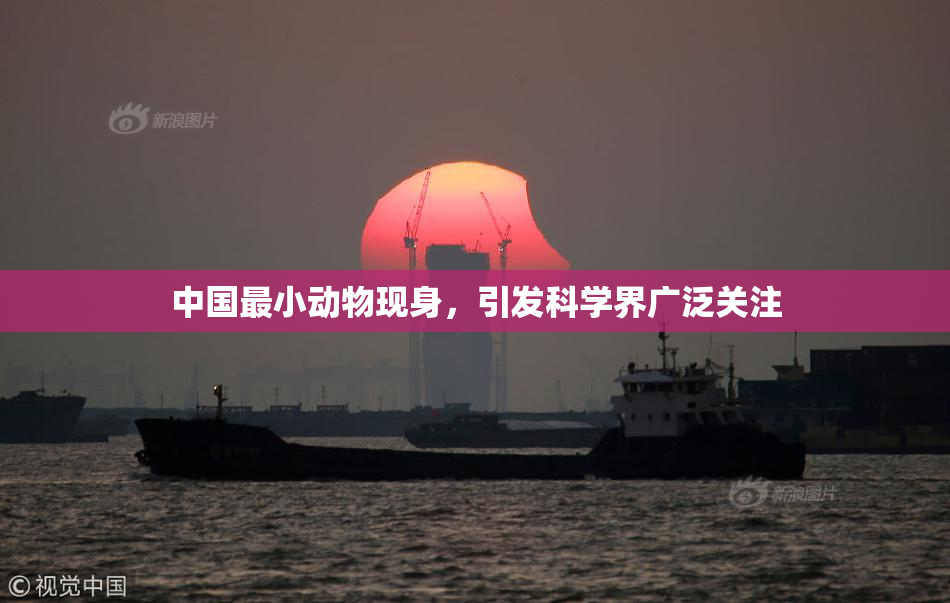 中国最小动物现身，引发科学界广泛关注