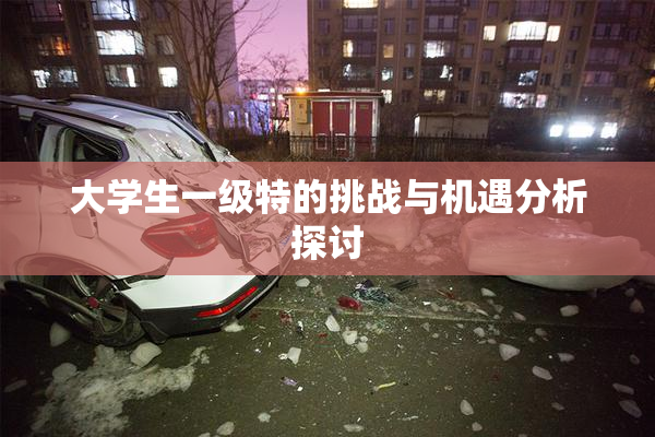 大学生一级特的挑战与机遇分析探讨