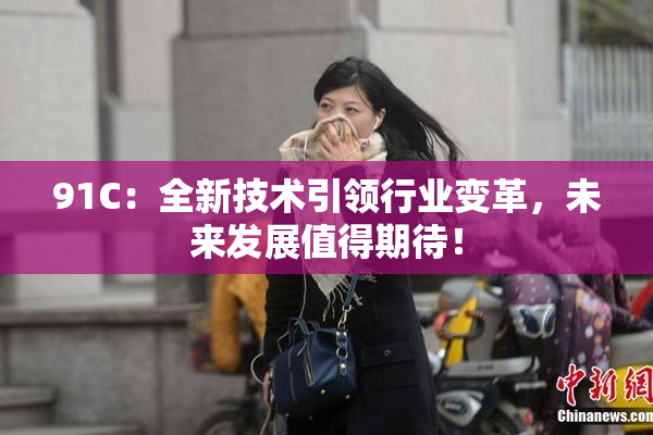 91C：全新技术引领行业变革，未来发展值得期待！