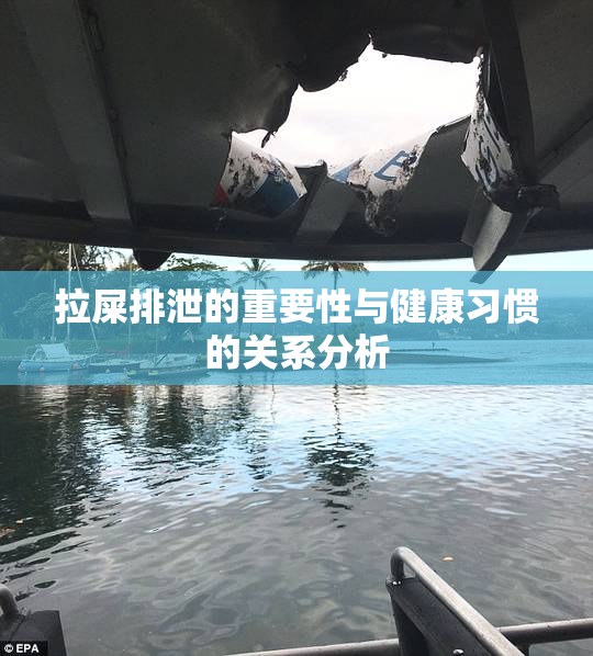 拉屎排泄的重要性与健康习惯的关系分析