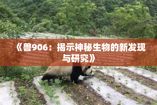 《兽906：揭示神秘生物的新发现与研究》