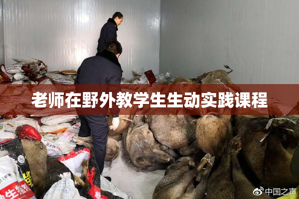 老师在野外教学生生动实践课程