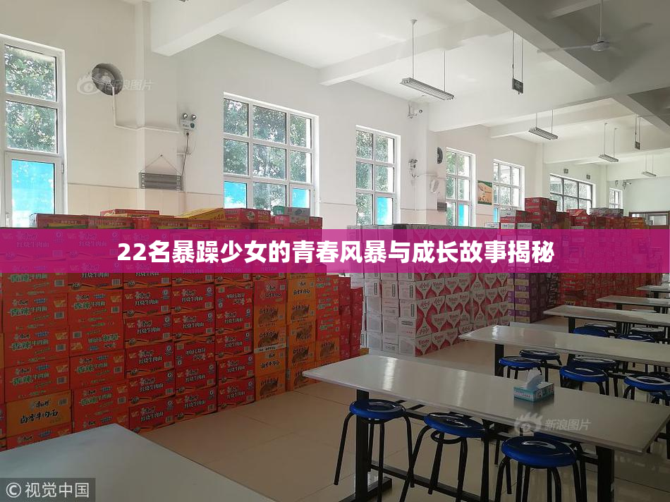 22名暴躁少女的青春风暴与成长故事揭秘