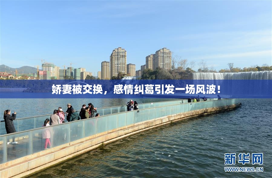 娇妻被交换，感情纠葛引发一场风波！