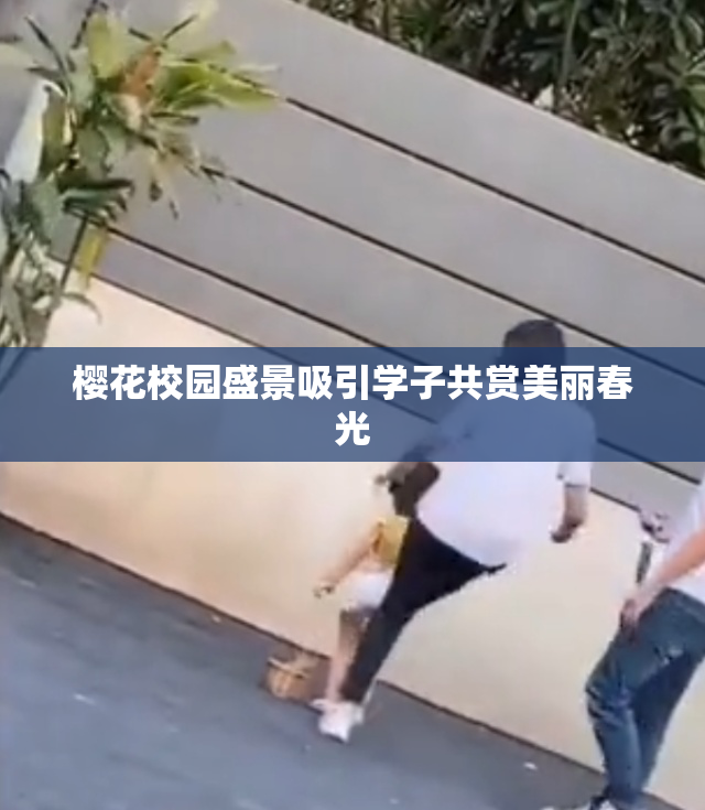 樱花校园盛景吸引学子共赏美丽春光