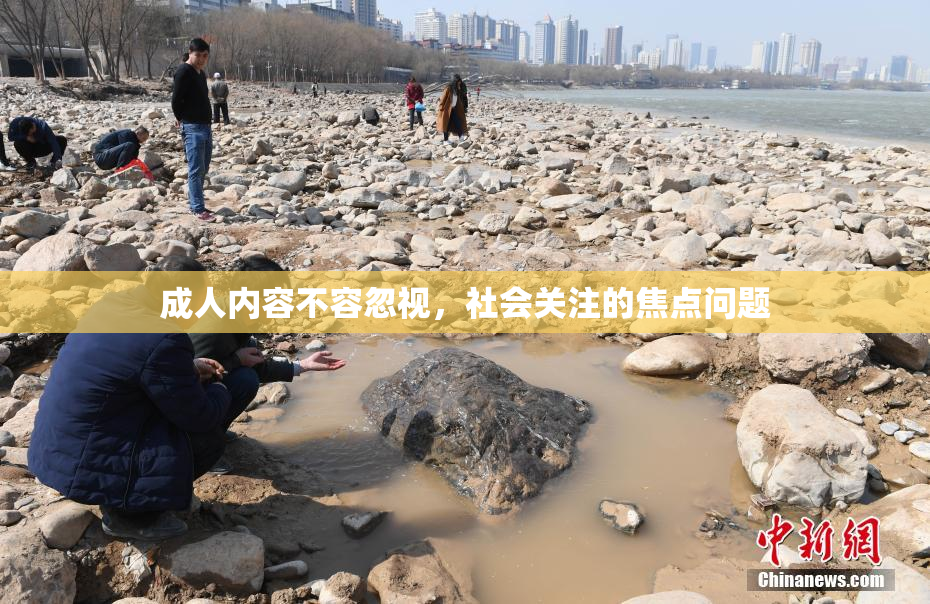 成人内容不容忽视，社会关注的焦点问题