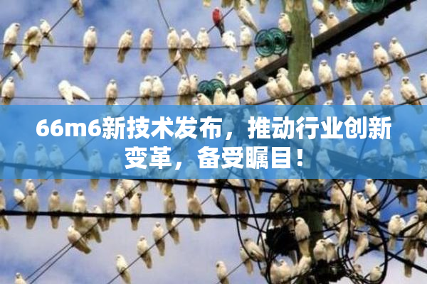 66m6新技术发布，推动行业创新变革，备受瞩目！