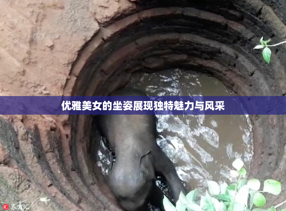 优雅美女的坐姿展现独特魅力与风采