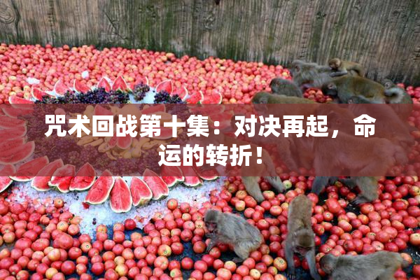 咒术回战第十集：对决再起，命运的转折！