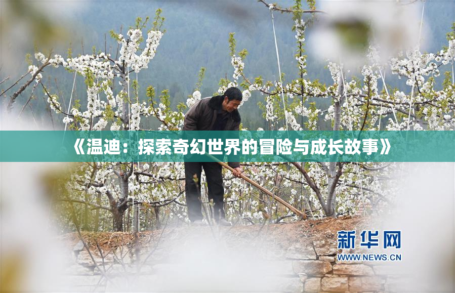 《温迪：探索奇幻世界的冒险与成长故事》