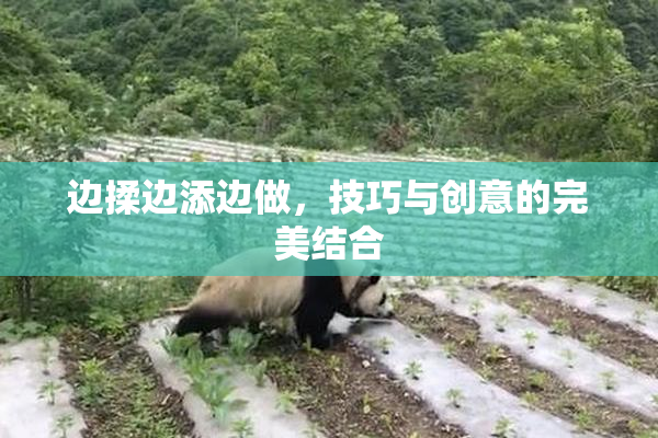 边揉边添边做，技巧与创意的完美结合