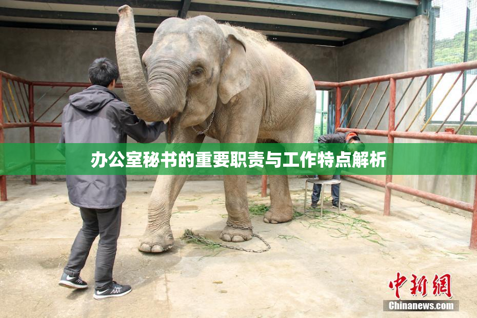 办公室秘书的重要职责与工作特点解析