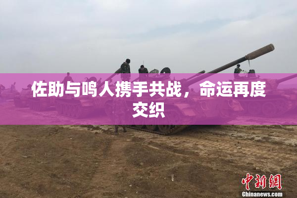 佐助与鸣人携手共战，命运再度交织