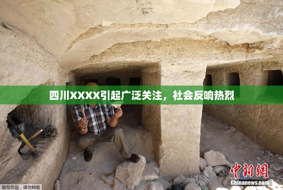 四川XXXX引起广泛关注，社会反响热烈