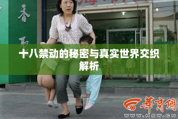 十八禁动的秘密与真实世界交织解析