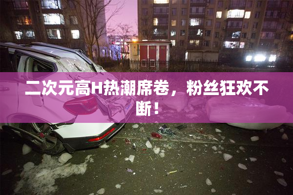 二次元高H热潮席卷，粉丝狂欢不断！