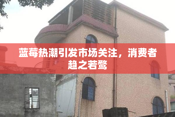 蓝莓热潮引发市场关注，消费者趋之若鹜