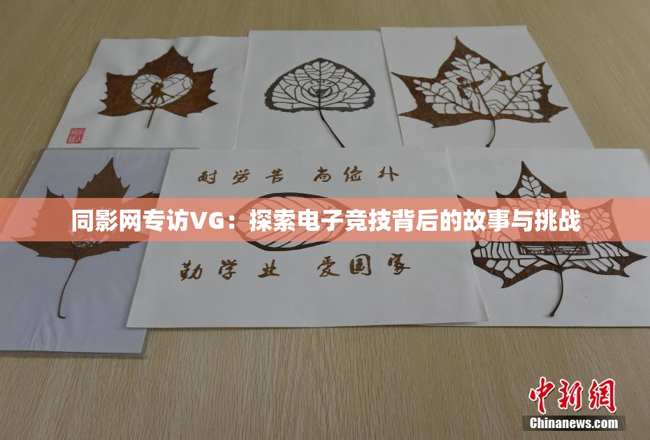 同影网专访VG：探索电子竞技背后的故事与挑战