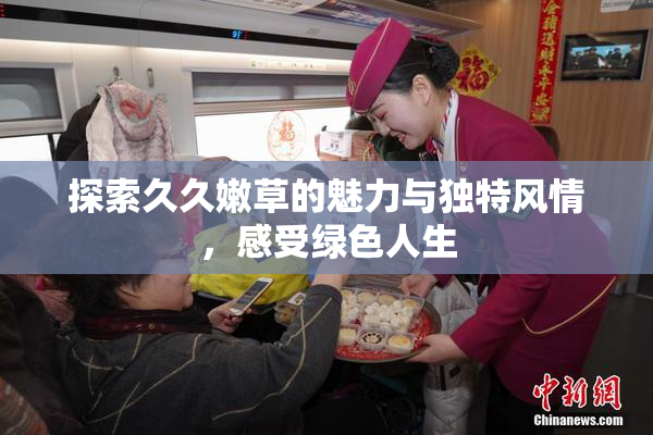 探索久久嫩草的魅力与独特风情，感受绿色人生
