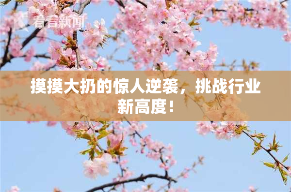 摸摸大扔的惊人逆袭，挑战行业新高度！