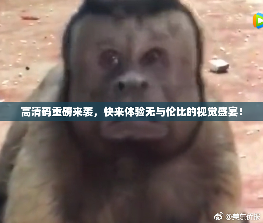 高清码重磅来袭，快来体验无与伦比的视觉盛宴！