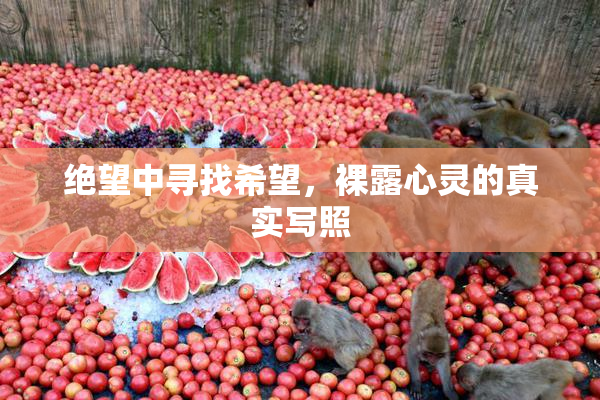 绝望中寻找希望，裸露心灵的真实写照