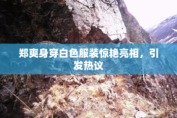 郑爽身穿白色服装惊艳亮相，引发热议