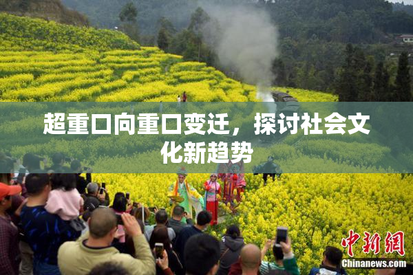 超重口向重口变迁，探讨社会文化新趋势
