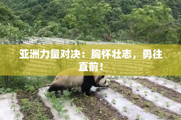 亚洲力量对决：胸怀壮志，勇往直前！